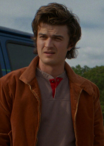 Steve Harrington photo