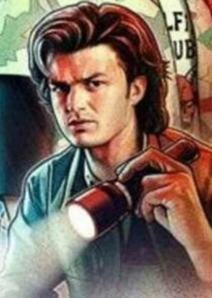 Steve Harrington photo