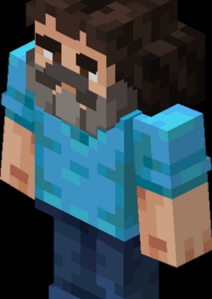 Steve (Minecraft) photo