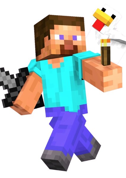 Steve (Minecraft) photo