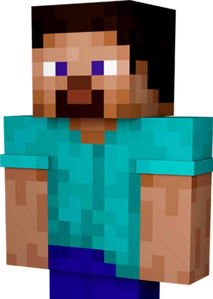 Steve (Minecraft) photo