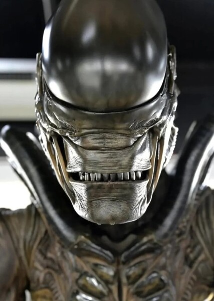Steve the Xenomorph