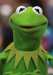 Steve Whitmire as Kermit the Frog in Muppet*Vision 4D