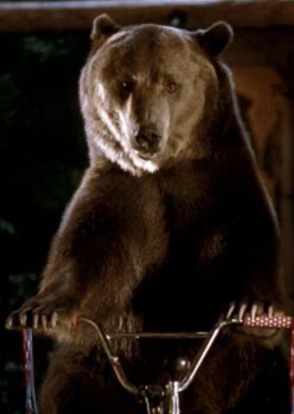 Steve Zahn photo