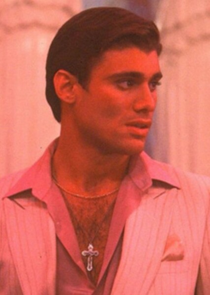 Steven Bauer photo