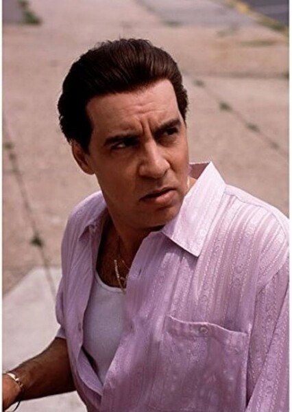 Steven Van Zandt photo