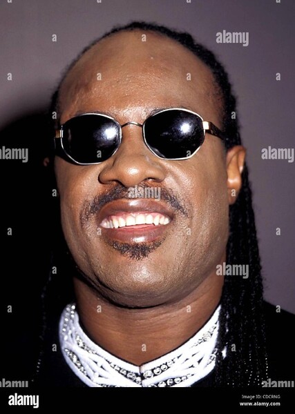 Stevie Wonder