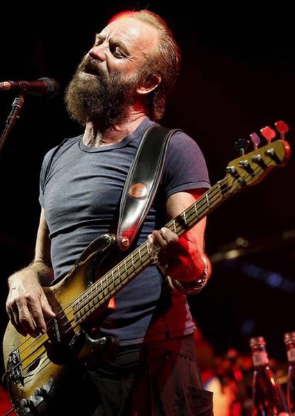 Sting photo