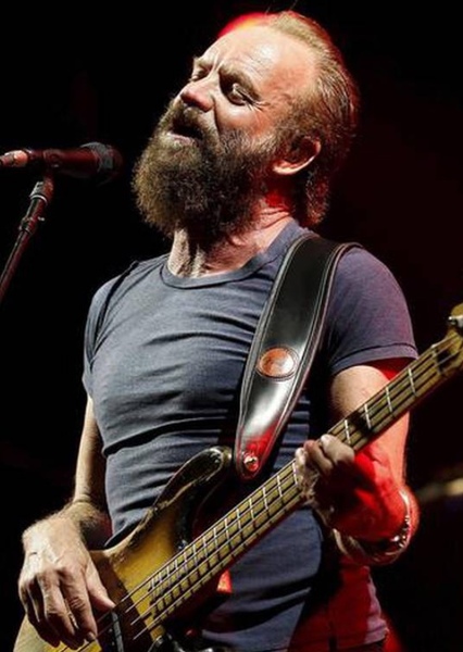 Sting photo
