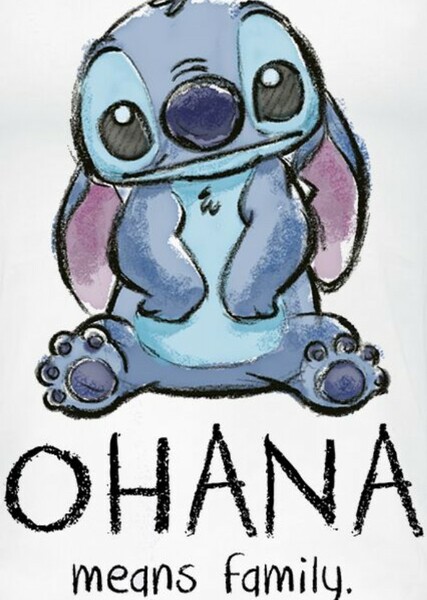 Stitch (Lilo & Stitch) photo