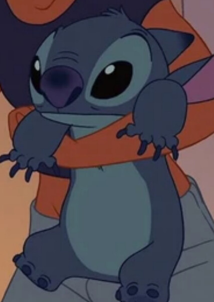 Stitch (626) photo