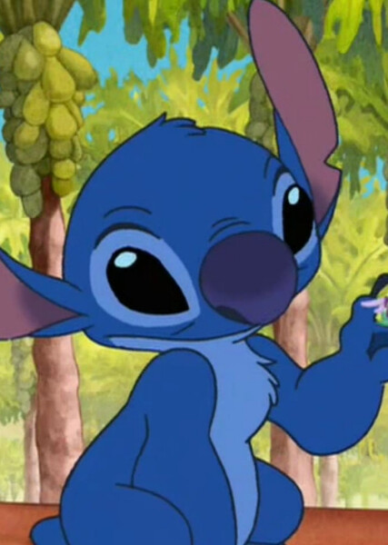 Stitch (626) photo
