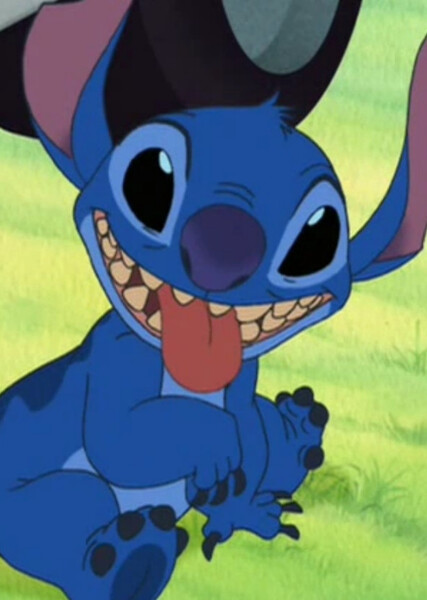 Stitch (626) photo
