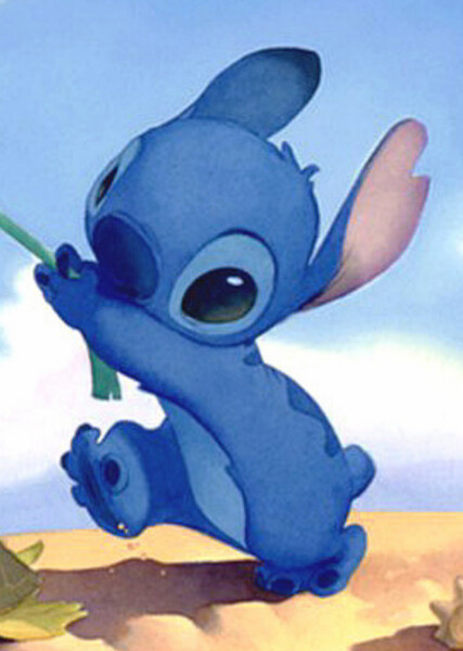 Stitch (626) photo