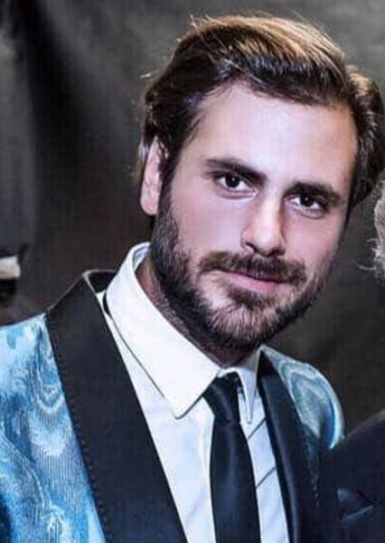 Stjepan Hauser photo