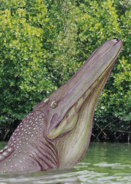 Stomatosuchus photo