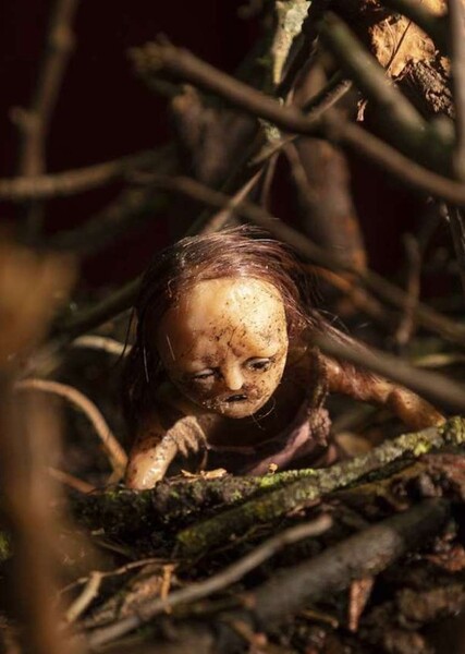 Stop Motion photo