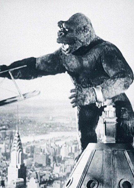 Stop Motion photo