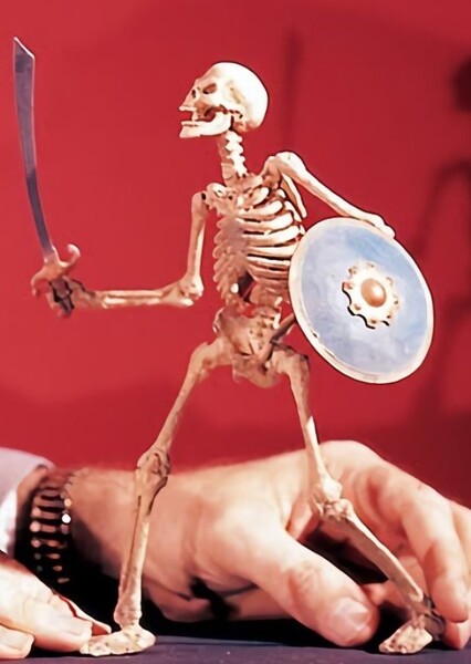Stop Motion photo