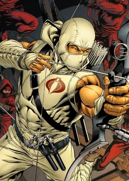 Storm Shadow (G.I. Joe) photo