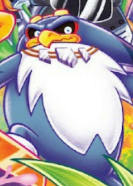 Storm the Albatross photo