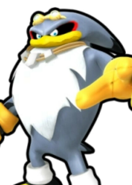 Storm the Albatross photo