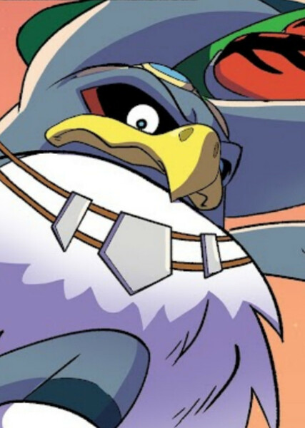 Storm the Albatross photo