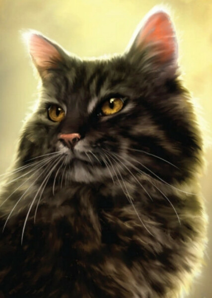Stormfur (Warrior Cats) photo