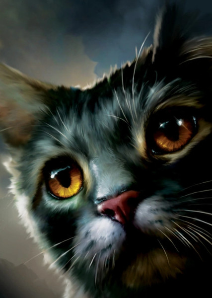 Stormfur (Warrior Cats) photo