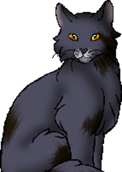 Stormfur (Warrior Cats) photo