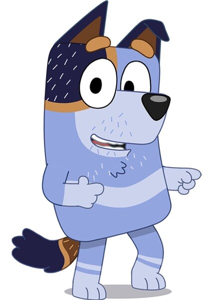 Stripe Heeler