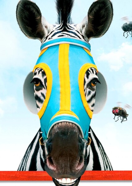 Stripes (Racing Stripes) photo