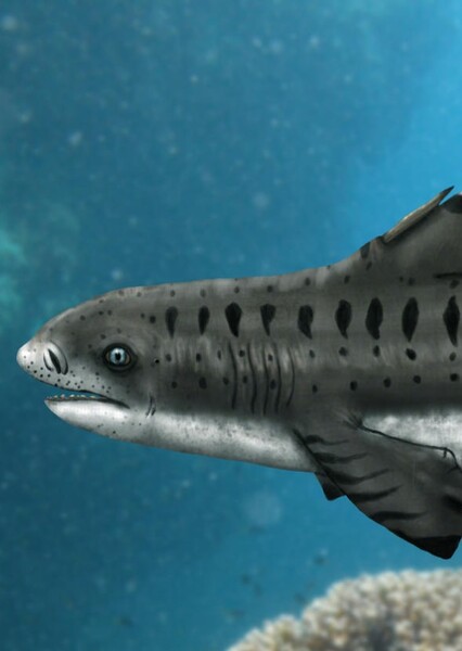 Strophodus