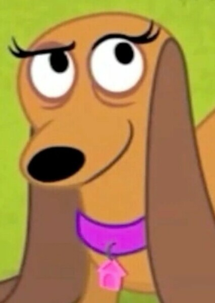 Strudel (Pound Puppies) photo