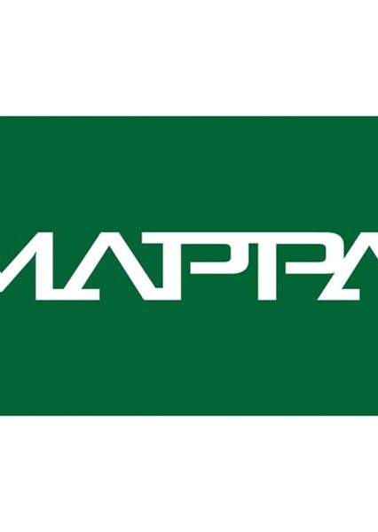 Studio Mappa photo