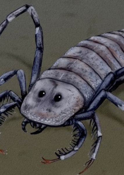 Stylonurus