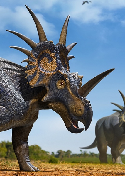 Styracosaurus photo
