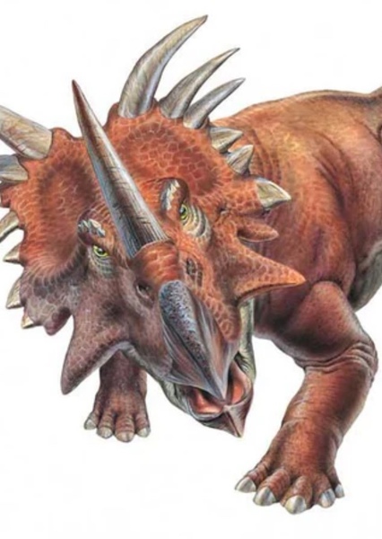 Styracosaurus photo