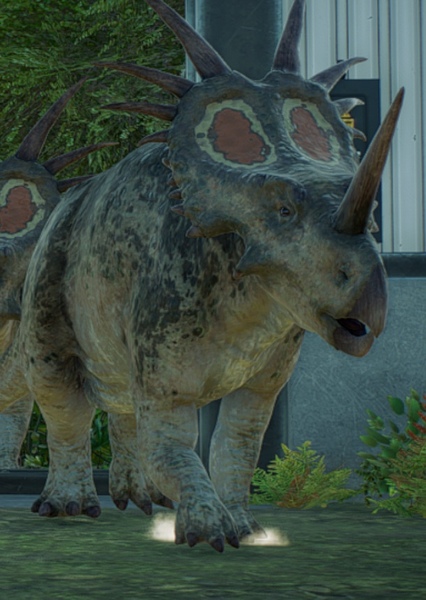 Styracosaurus photo