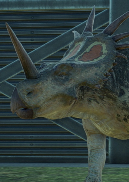 Styracosaurus photo