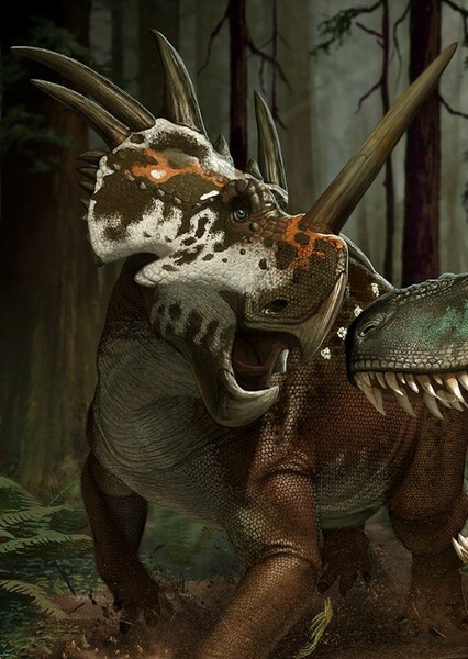 Styracosaurus photo