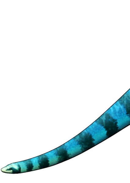 Styxosaurus photo