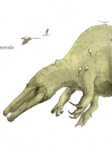 Suchomimus photo