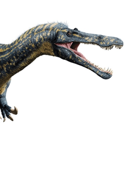 Suchomimus photo