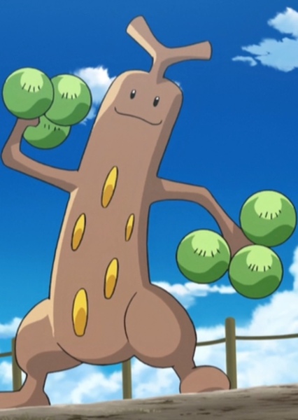 Sudowoodo photo
