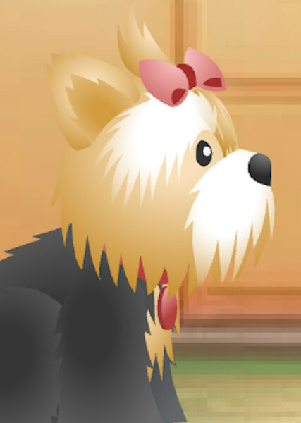 Sugar (American Girl) photo