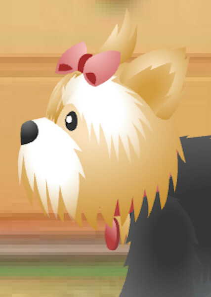 Sugar (American Girl) photo