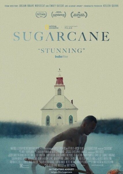 Sugarcane photo