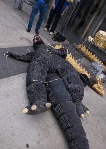 Suitmation photo