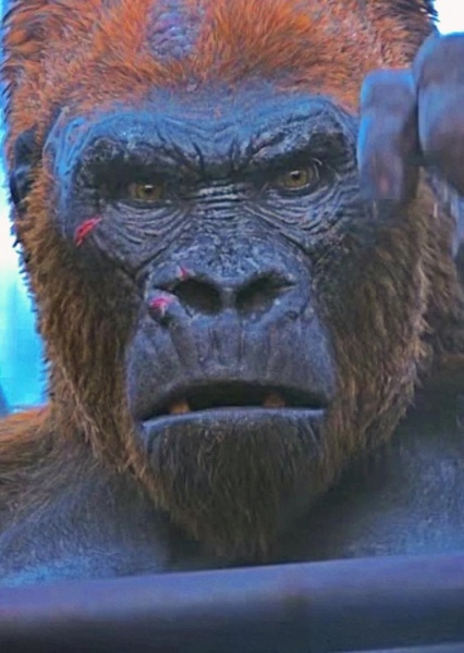 Suko (MonsterVerse)